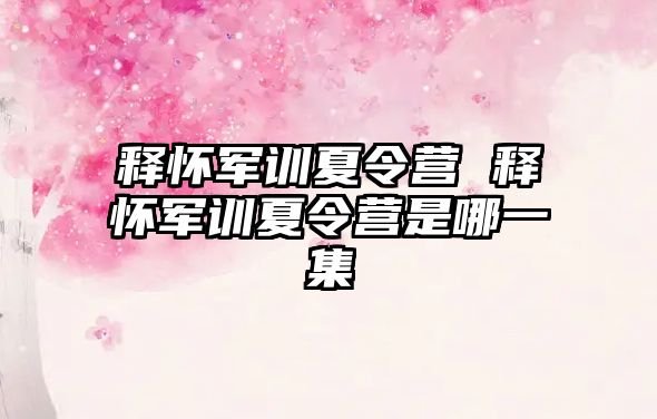 释怀军训夏令营 释怀军训夏令营是哪一集