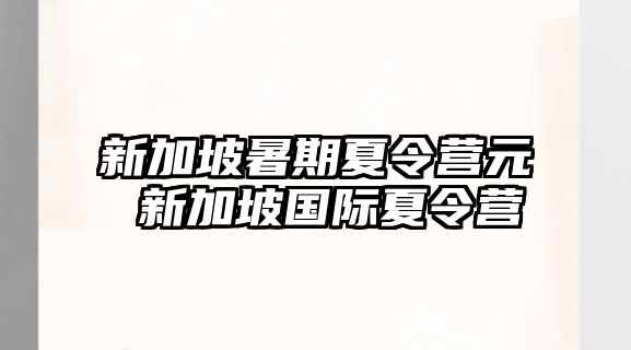 新加坡暑期夏令营元 新加坡国际夏令营