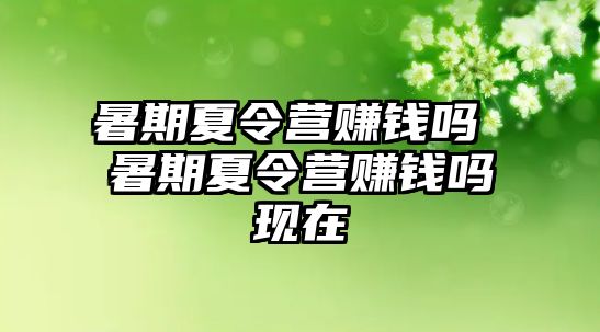 暑期夏令营赚钱吗 暑期夏令营赚钱吗现在