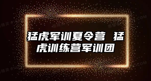 猛虎军训夏令营 猛虎训练营军训团