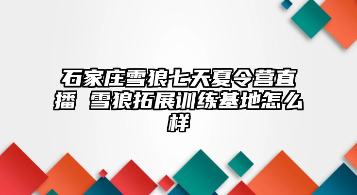 石家庄雪狼七天夏令营直播 雪狼拓展训练基地怎么样