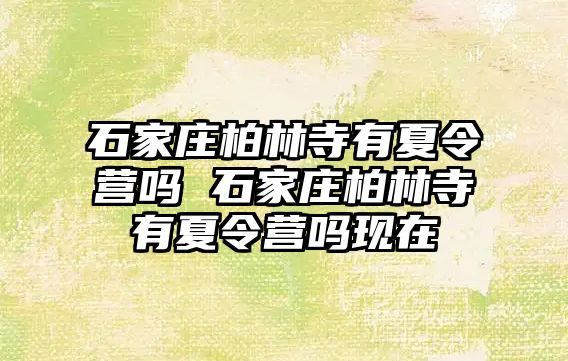 石家庄柏林寺有夏令营吗 石家庄柏林寺有夏令营吗现在