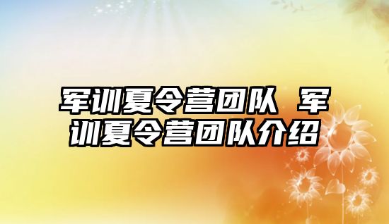 军训夏令营团队 军训夏令营团队介绍