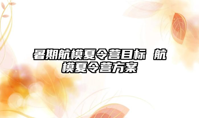 暑期航模夏令营目标 航模夏令营方案