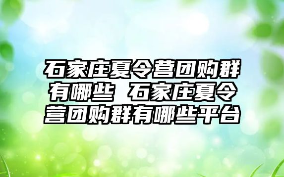 石家庄夏令营团购群有哪些 石家庄夏令营团购群有哪些平台