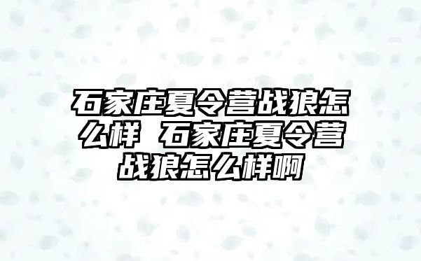 石家庄夏令营战狼怎么样 石家庄夏令营战狼怎么样啊