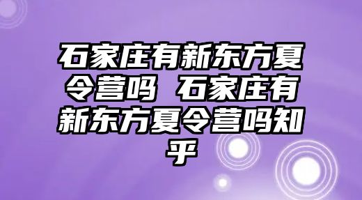 石家庄有新东方夏令营吗 石家庄有新东方夏令营吗知乎