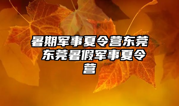 暑期军事夏令营东莞 东莞暑假军事夏令营