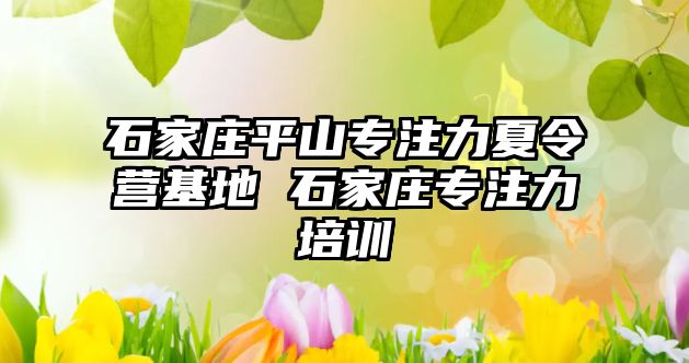 石家庄平山专注力夏令营基地 石家庄专注力培训