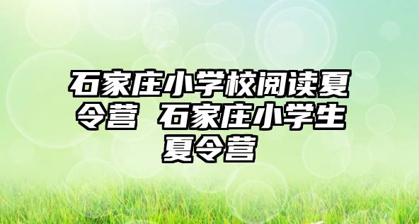 石家庄小学校阅读夏令营 石家庄小学生夏令营