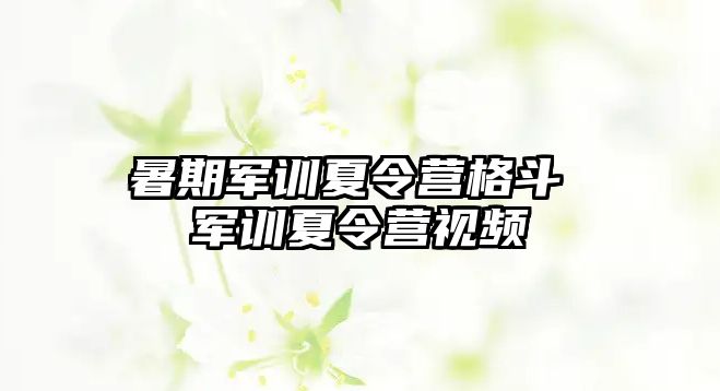 暑期军训夏令营格斗 军训夏令营视频