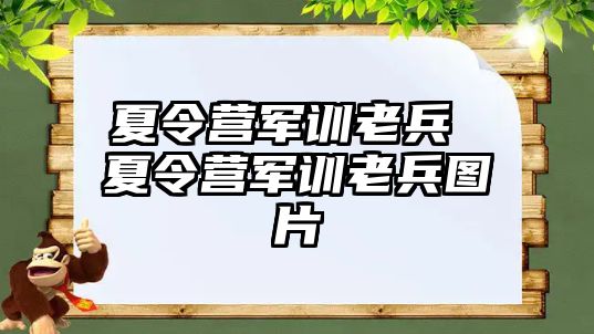 夏令营军训老兵 夏令营军训老兵图片