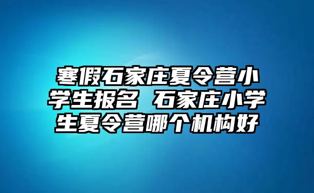 寒假石家庄夏令营小学生报名 石家庄小学生夏令营哪个机构好