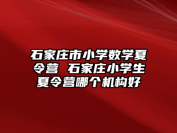 石家庄市小学数学夏令营 石家庄小学生夏令营哪个机构好