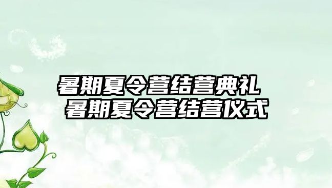 暑期夏令营结营典礼 暑期夏令营结营仪式