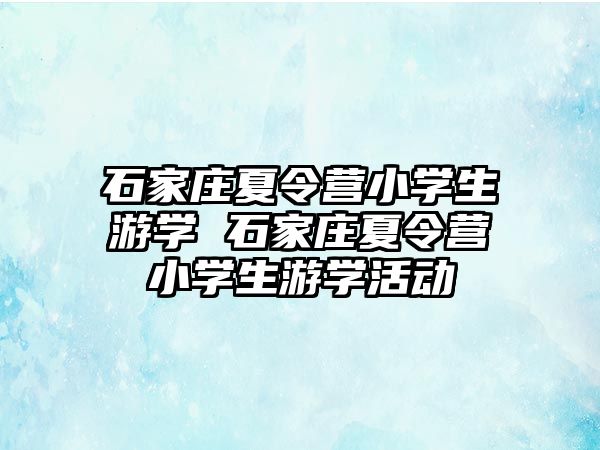 石家庄夏令营小学生游学 石家庄夏令营小学生游学活动