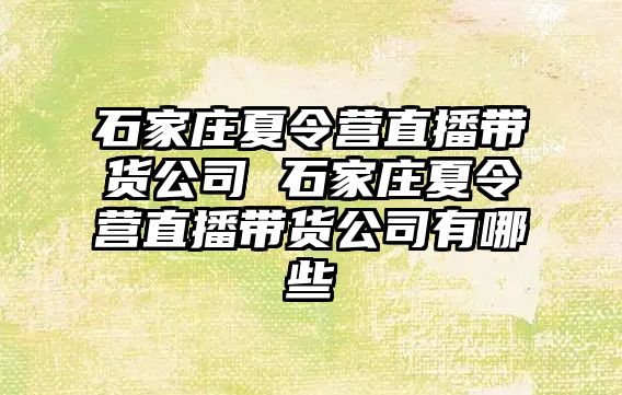 石家庄夏令营直播带货公司 石家庄夏令营直播带货公司有哪些