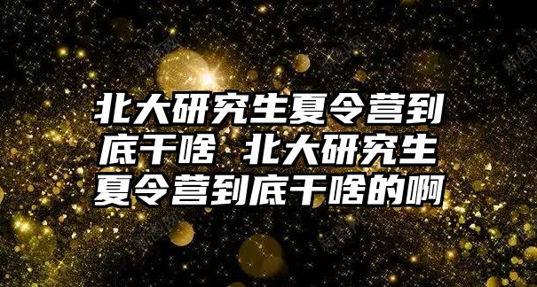 北大研究生夏令营到底干啥 北大研究生夏令营到底干啥的啊