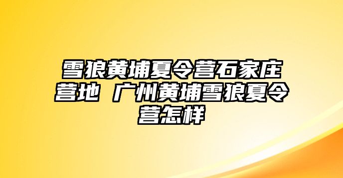 雪狼黄埔夏令营石家庄营地 广州黄埔雪狼夏令营怎样