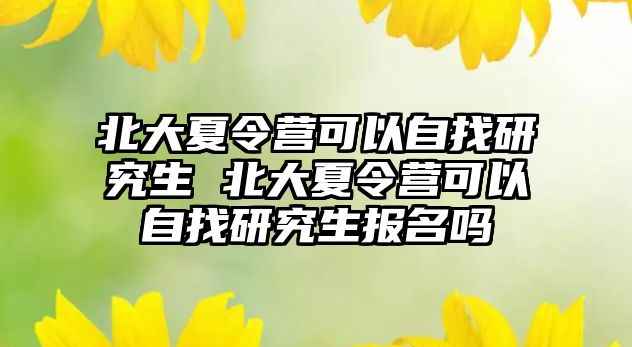 北大夏令营可以自找研究生 北大夏令营可以自找研究生报名吗