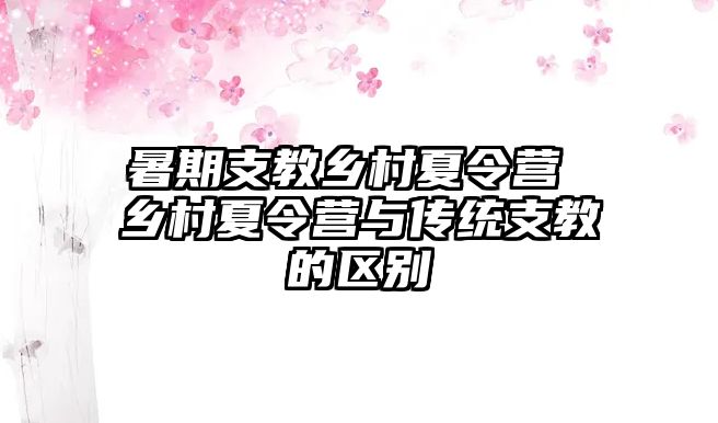 暑期支教乡村夏令营 乡村夏令营与传统支教的区别