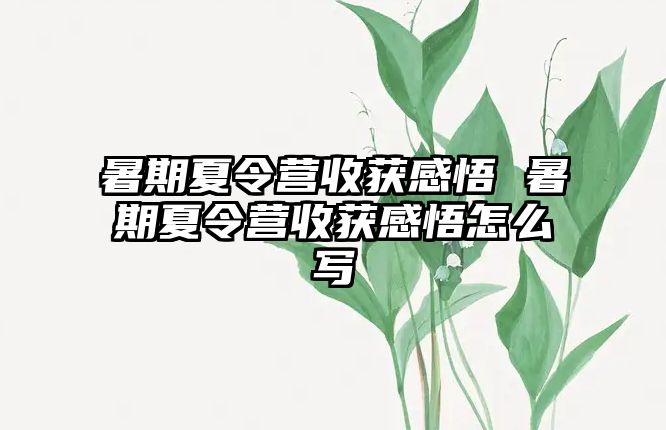 暑期夏令营收获感悟 暑期夏令营收获感悟怎么写