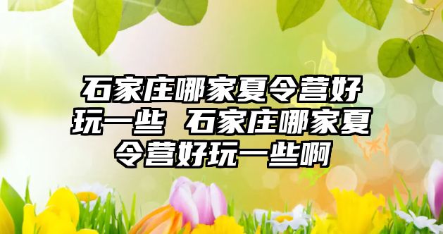 石家庄哪家夏令营好玩一些 石家庄哪家夏令营好玩一些啊