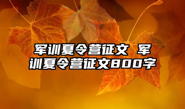 军训夏令营征文 军训夏令营征文800字