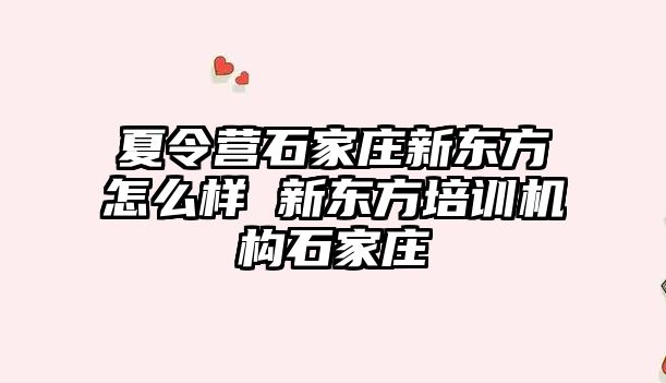 夏令营石家庄新东方怎么样 新东方培训机构石家庄