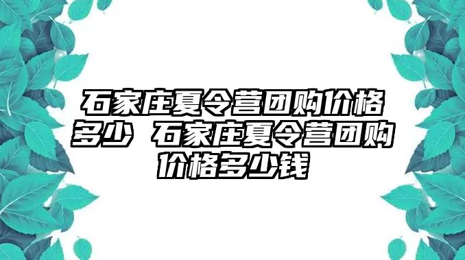 石家庄夏令营团购价格多少 石家庄夏令营团购价格多少钱