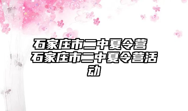 石家庄市二中夏令营 石家庄市二中夏令营活动