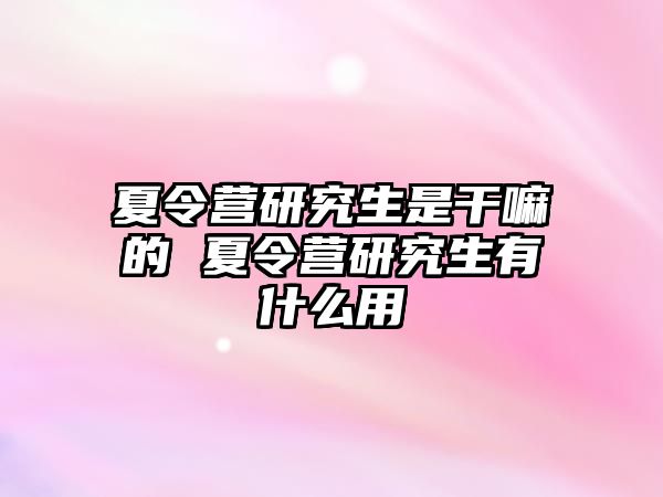 夏令营研究生是干嘛的 夏令营研究生有什么用