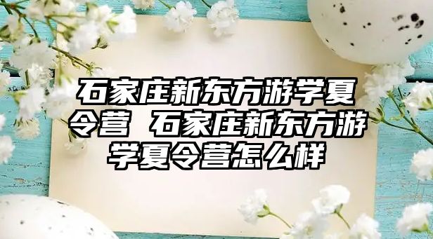 石家庄新东方游学夏令营 石家庄新东方游学夏令营怎么样