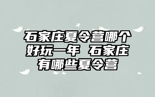 石家庄夏令营哪个好玩一年 石家庄有哪些夏令营