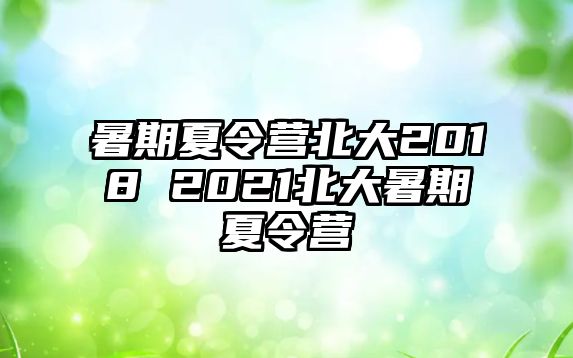 暑期夏令营北大2018 2021北大暑期夏令营