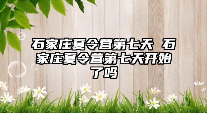 石家庄夏令营第七天 石家庄夏令营第七天开始了吗