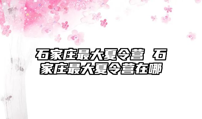 石家庄最大夏令营 石家庄最大夏令营在哪