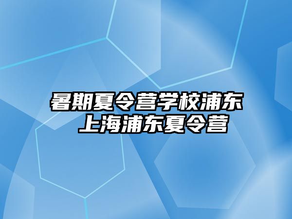 暑期夏令营学校浦东 上海浦东夏令营