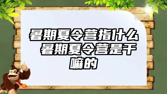 暑期夏令营指什么 暑期夏令营是干嘛的