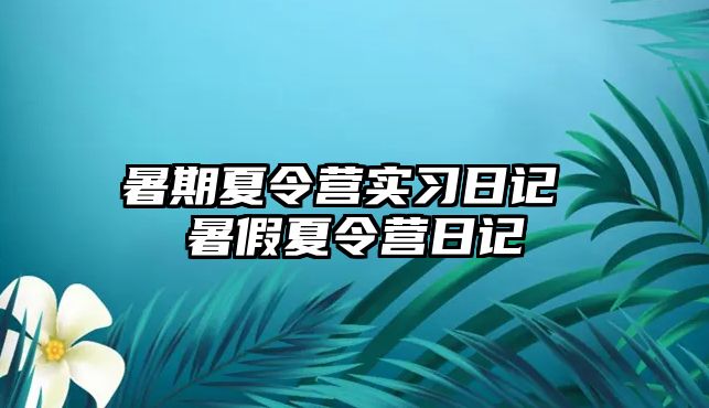 暑期夏令营实习日记 暑假夏令营日记