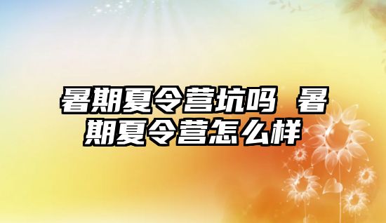 暑期夏令营坑吗 暑期夏令营怎么样