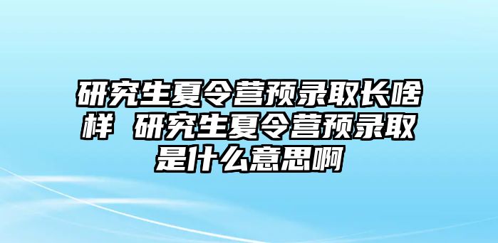 研究生夏令营预录取长啥样 研究生夏令营预录取是什么意思啊