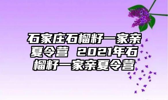 石家庄石榴籽一家亲夏令营 2021年石榴籽一家亲夏令营