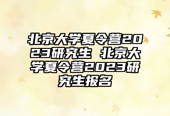 北京大学夏令营2023研究生 北京大学夏令营2023研究生报名