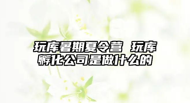 玩库暑期夏令营 玩库孵化公司是做什么的