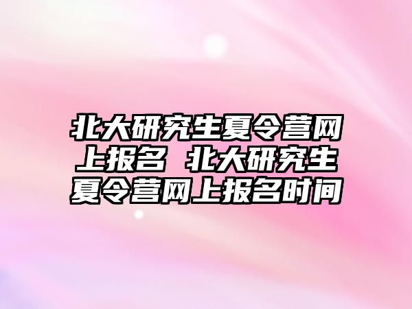 北大研究生夏令营网上报名 北大研究生夏令营网上报名时间