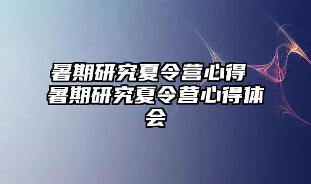 暑期研究夏令营心得 暑期研究夏令营心得体会