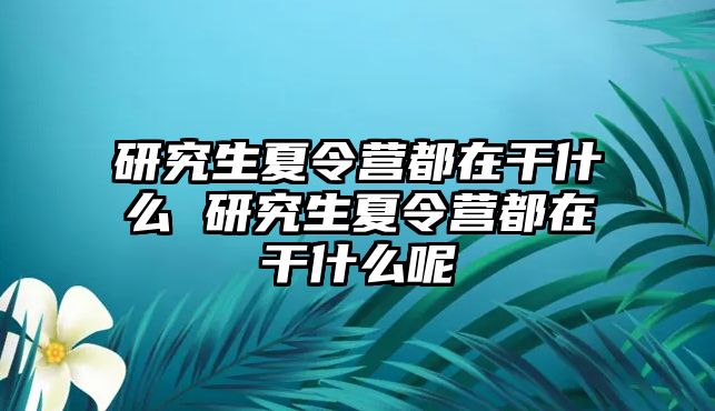 研究生夏令营都在干什么 研究生夏令营都在干什么呢