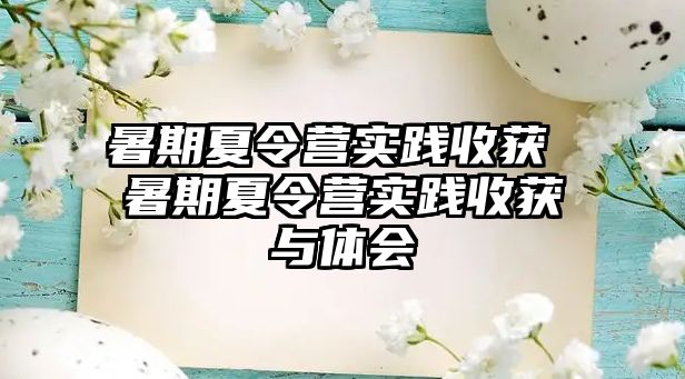 暑期夏令营实践收获 暑期夏令营实践收获与体会