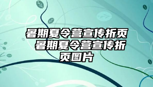 暑期夏令营宣传折页 暑期夏令营宣传折页图片